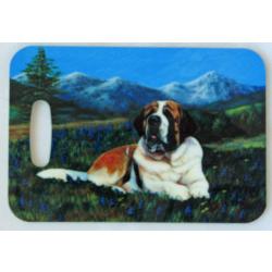 Saint 6 luggage tag