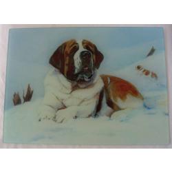 St Bernard 1 cb