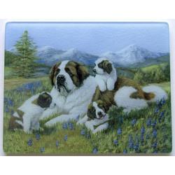 St. Bernard 4 Tempered Glass Cutting Board