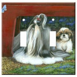 Shih Tzu 2b dlsp-M