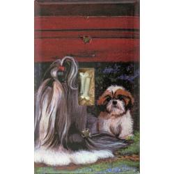 Shih Tzu 2B SLSP-P