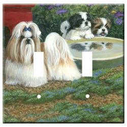 shih tzu 3a dlsp-M