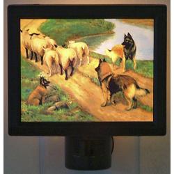 Belgian Tervuren Picture Nightlight #4 Belgian Tervuren Picture Nightlight #4