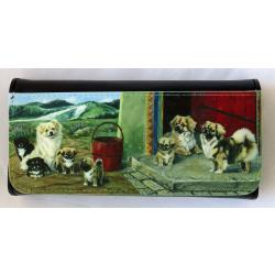 Tibbie 2-3 glasses case