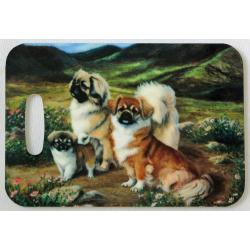 Tibbie 4 luggage tag