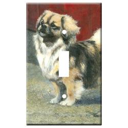 Tibetan Spaniel 3b-slsp-M