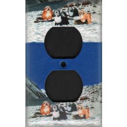 Tibetan Terrier 6A OTLP-M