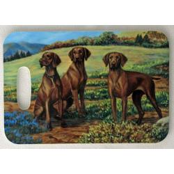 Vizsla 4 luggage tag