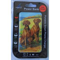 Vizsla 4A power bank packaged