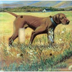 Vizsla 3B DLSP-P
