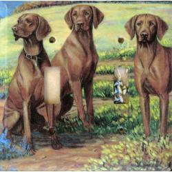 Vizsla 4A DLSP-P