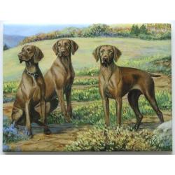 Vizsla #4 - 6X8 Ceramic Picture Tile