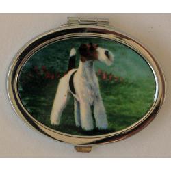 Fox Terrier, Wire 1 compact