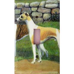 Whippet 1C SLSP-P