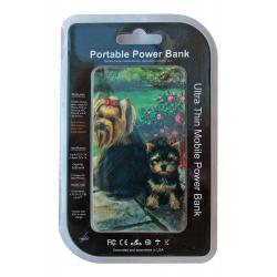 Yorkie 3-pbk package