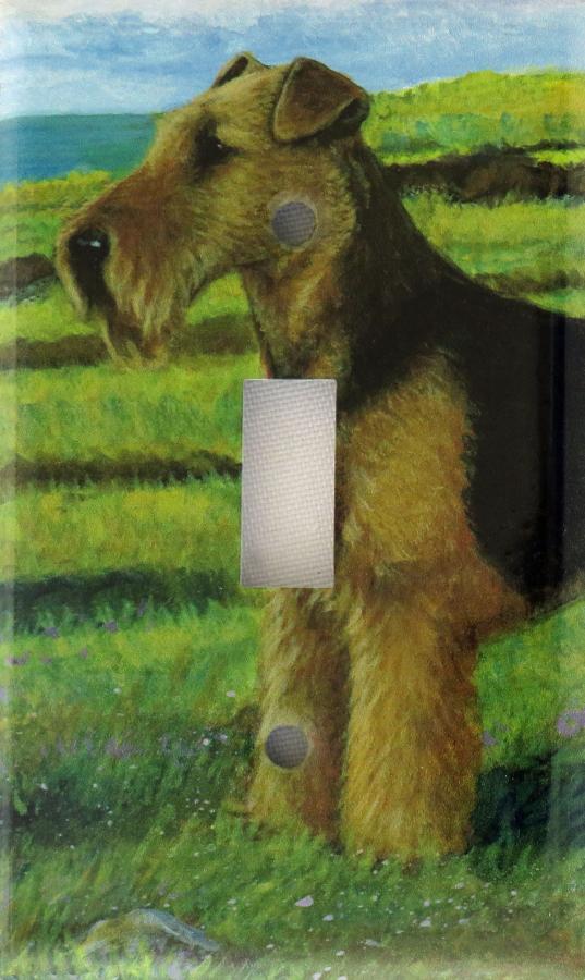 Welsh Terrier 1A SLSP-M